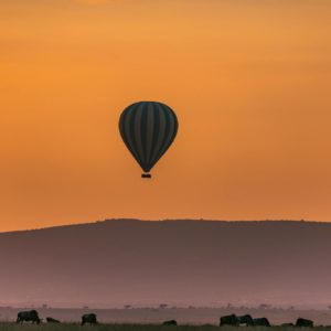 Wild herbivore animals grazing on grassy terrain near mountains against picturesque sunset sky with hot air balloon flying in national park Serengeti Tanzania Africa